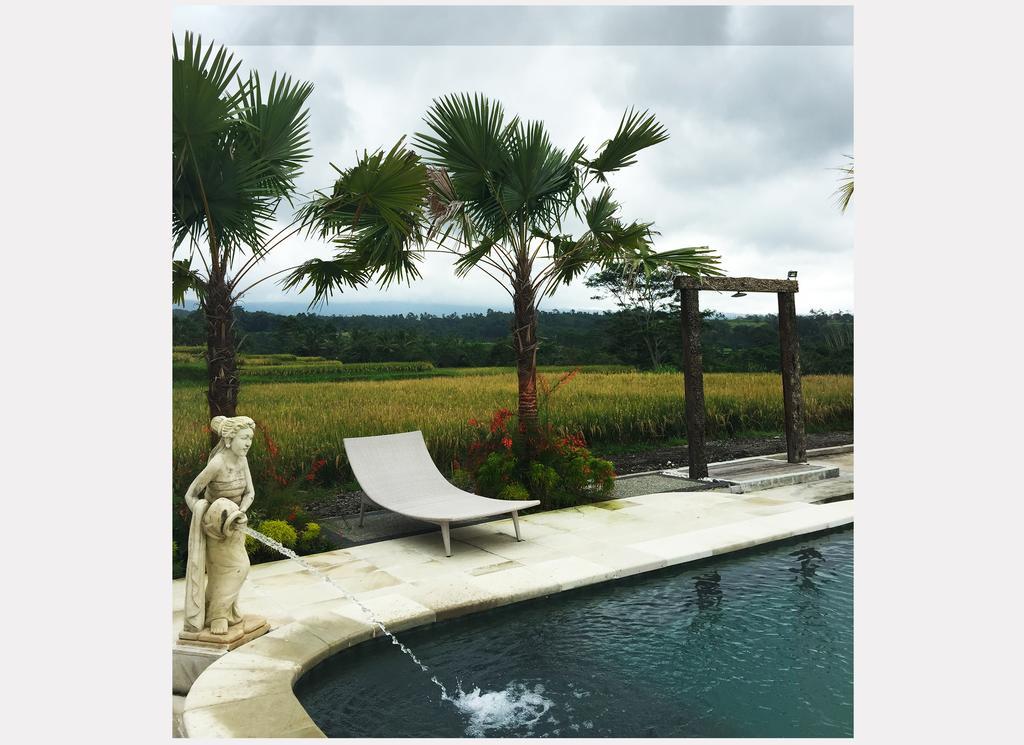 Hotel Ti Amo Bali Jatiluwih Pokoj fotografie