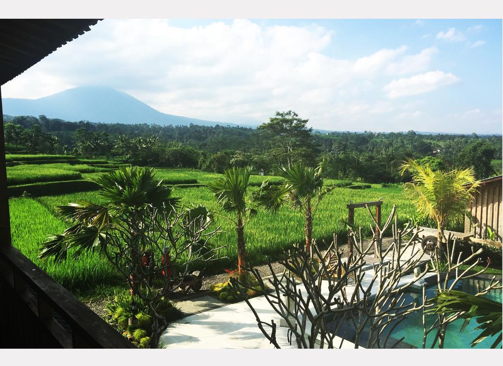 Hotel Ti Amo Bali Jatiluwih Exteriér fotografie
