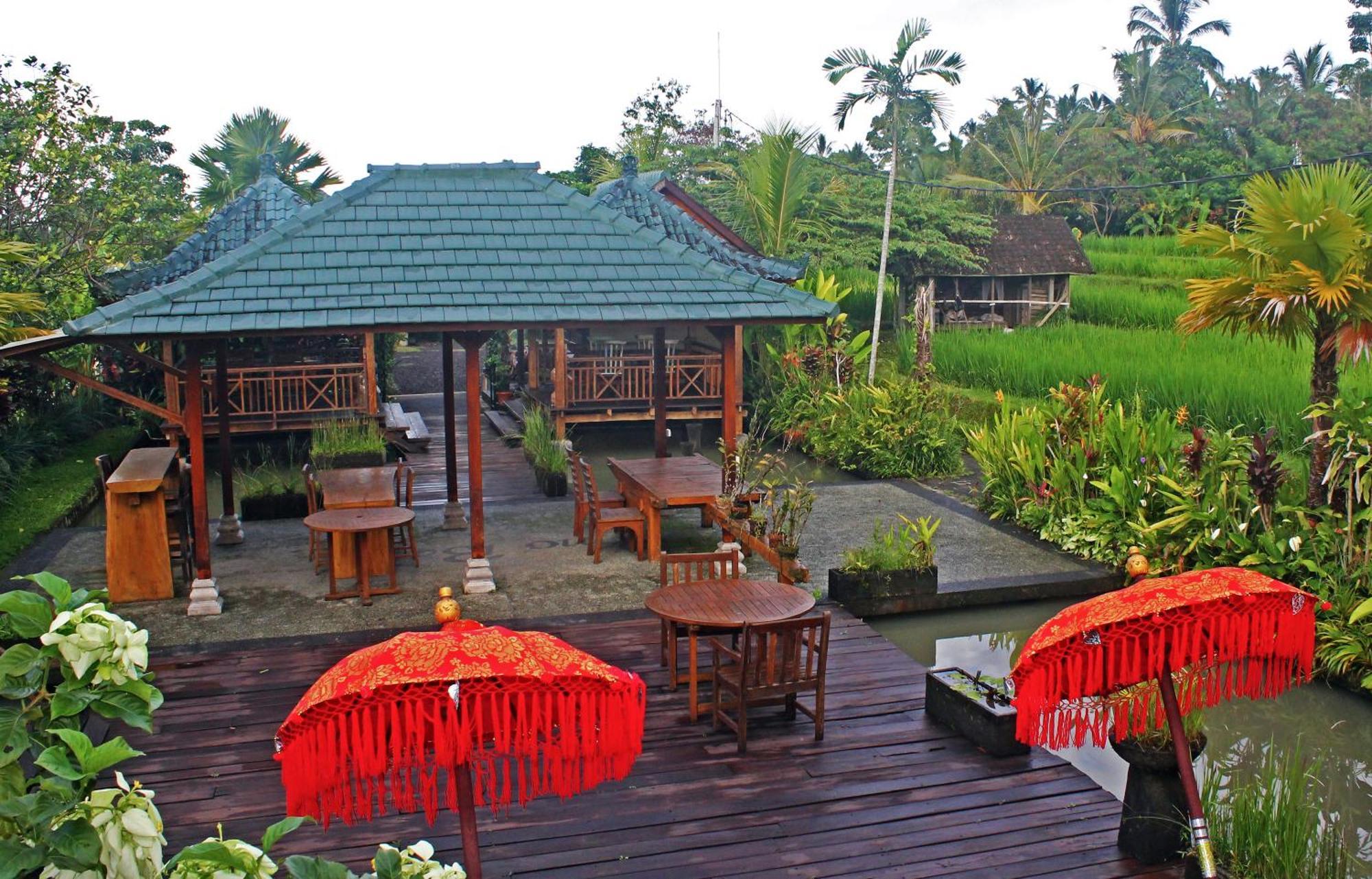 Hotel Ti Amo Bali Jatiluwih Exteriér fotografie
