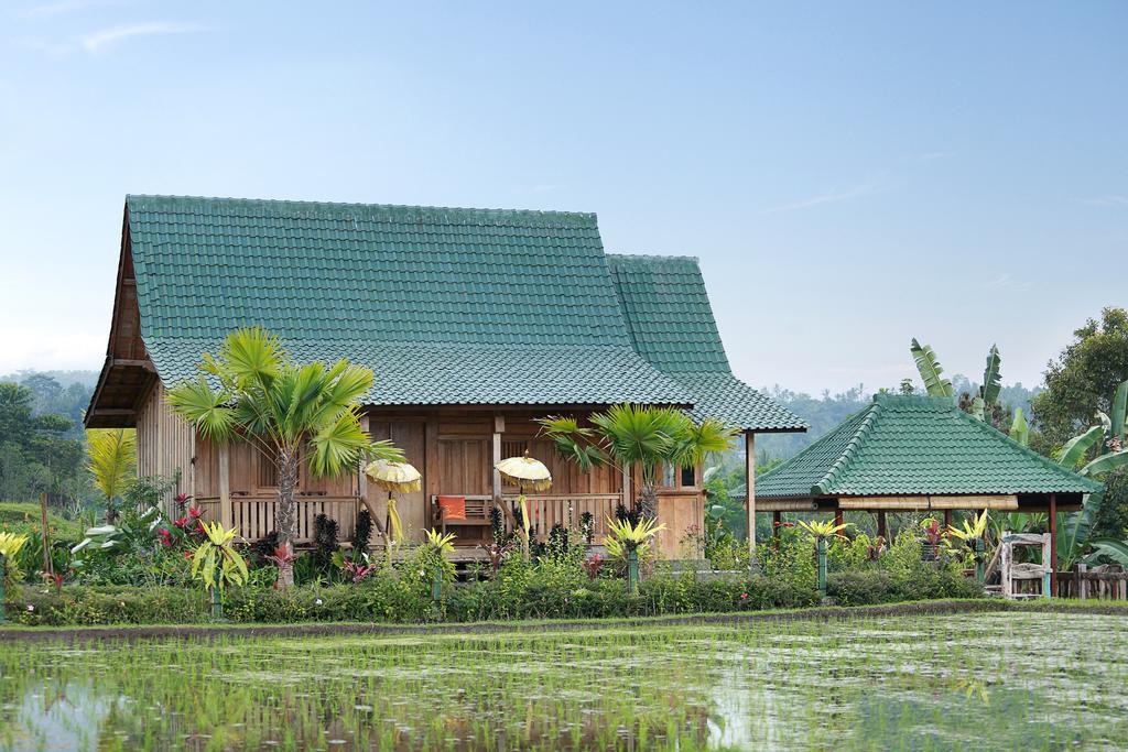 Hotel Ti Amo Bali Jatiluwih Exteriér fotografie