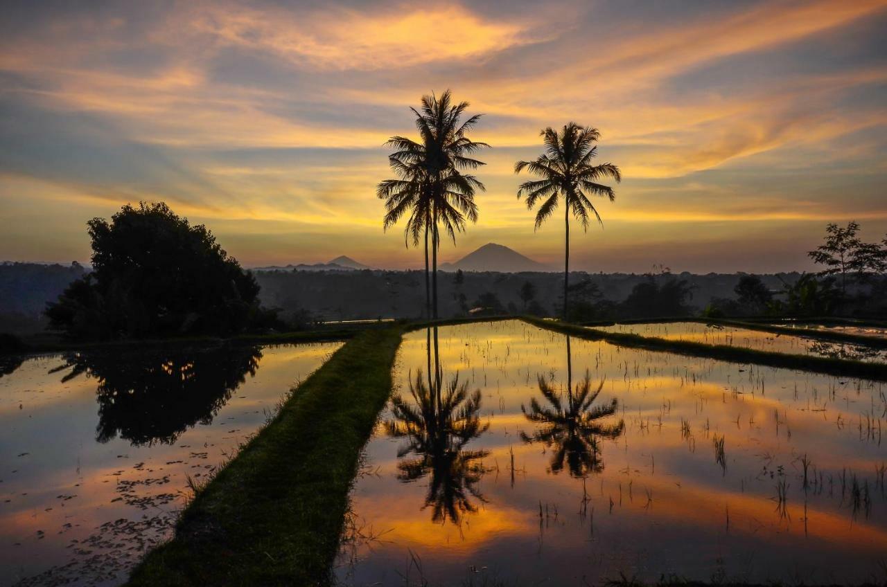 Hotel Ti Amo Bali Jatiluwih Exteriér fotografie