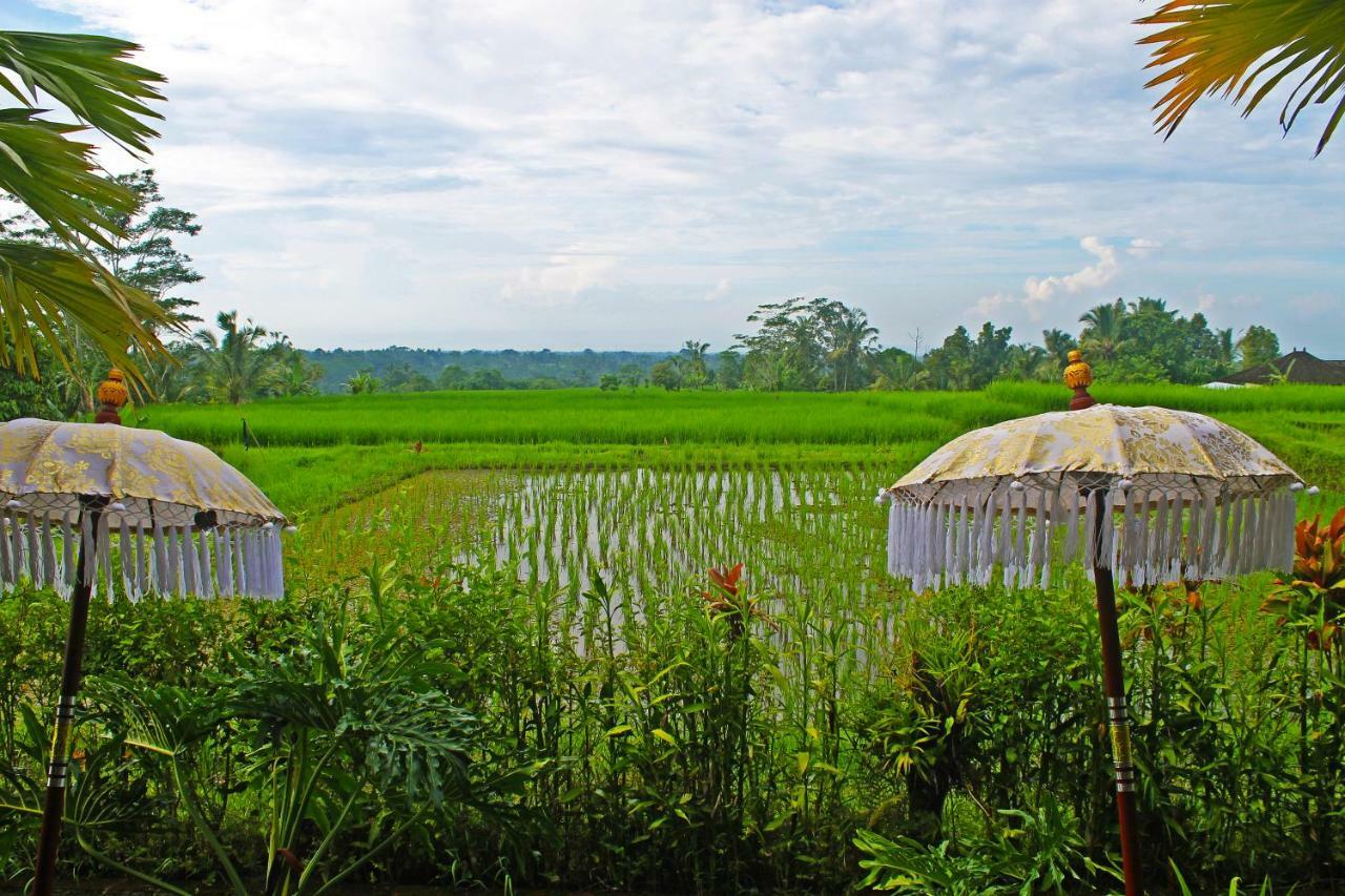 Hotel Ti Amo Bali Jatiluwih Exteriér fotografie